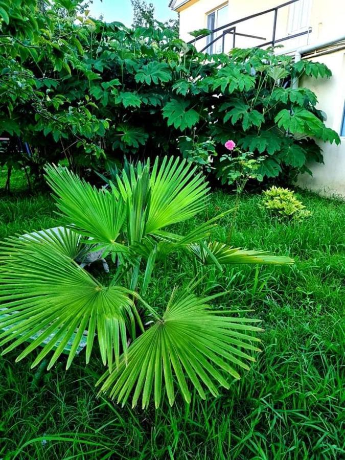 Private House Suliko Otel Kobuleti Dış mekan fotoğraf